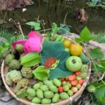 Rau củ và trái cây vừa thu hoạch từ vườn của Làng Trị An Retreat